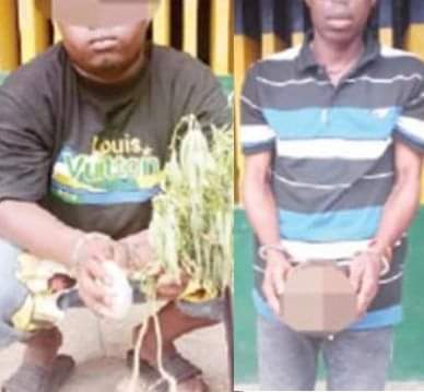 Herbalist and suspected Yahoo Boy caught with human parts in Delta