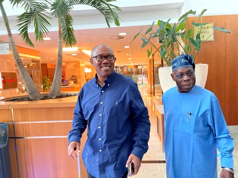 2023: Obasanjo ‘fully backing’ Peter Obi’s campaign – Osuntokun