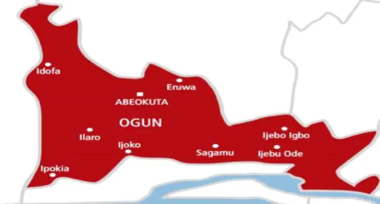 Ogun: Suspected ritualists exhume 40 skulls from graves