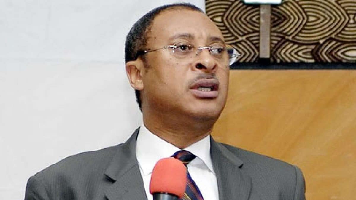 Pat Utomi reacts as hunters discover thousands of PVCs in Nnewi forest