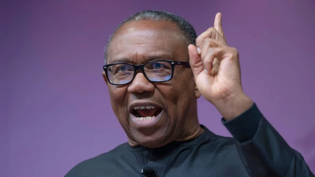 Release Abia, Enugu governorship election results – Peter Obi charges INEC