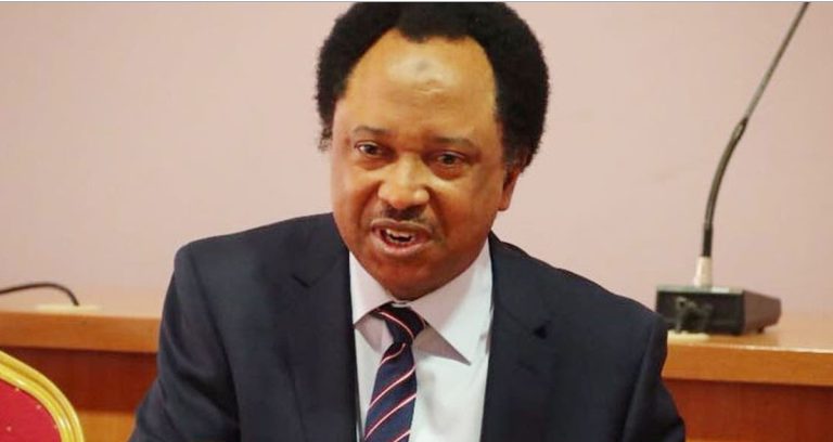 God saved me from disappearing mysteriously under El-Rufai – Shehu Sani