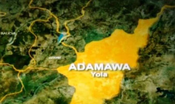 adamawa.png