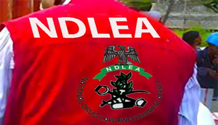 ndlea