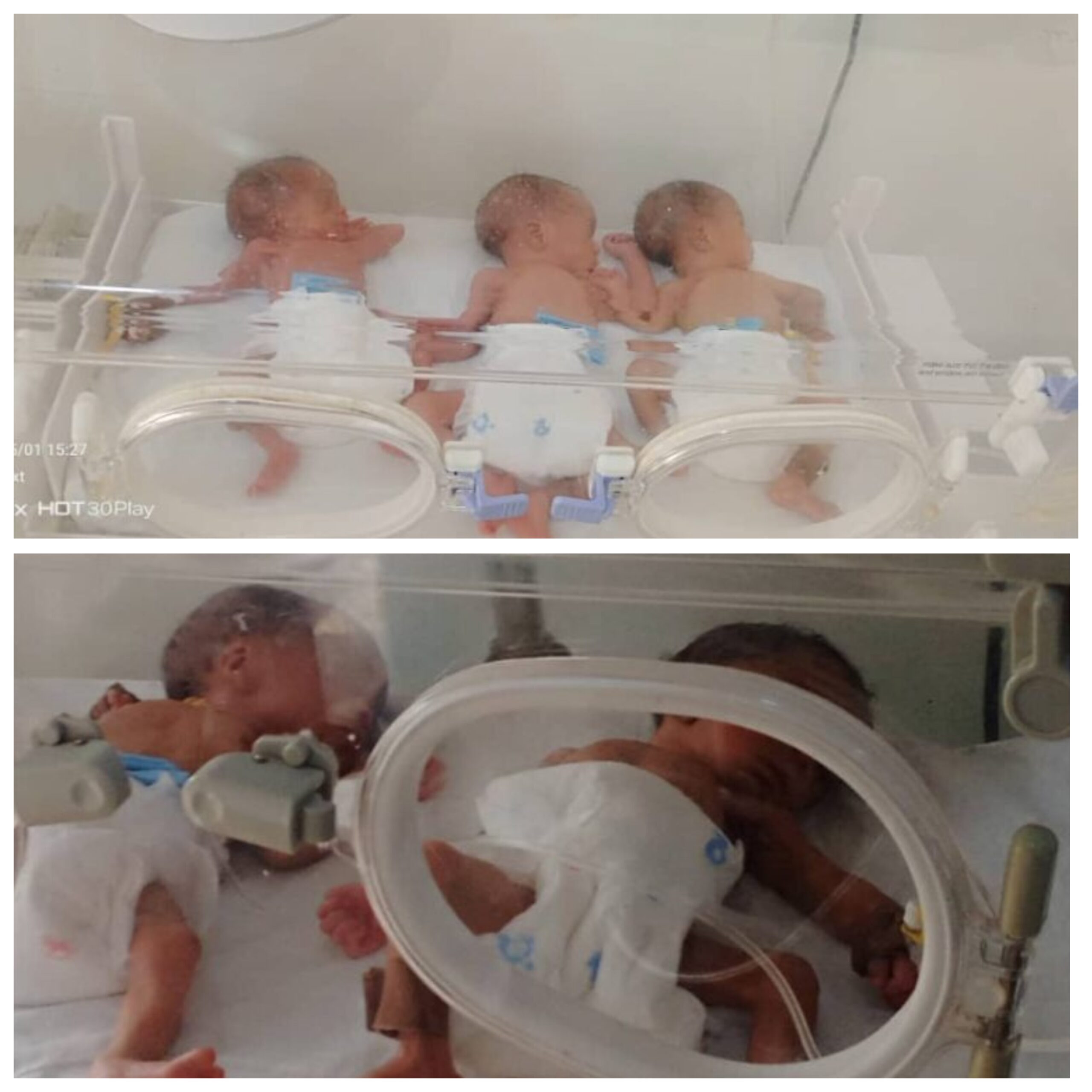 baby boys