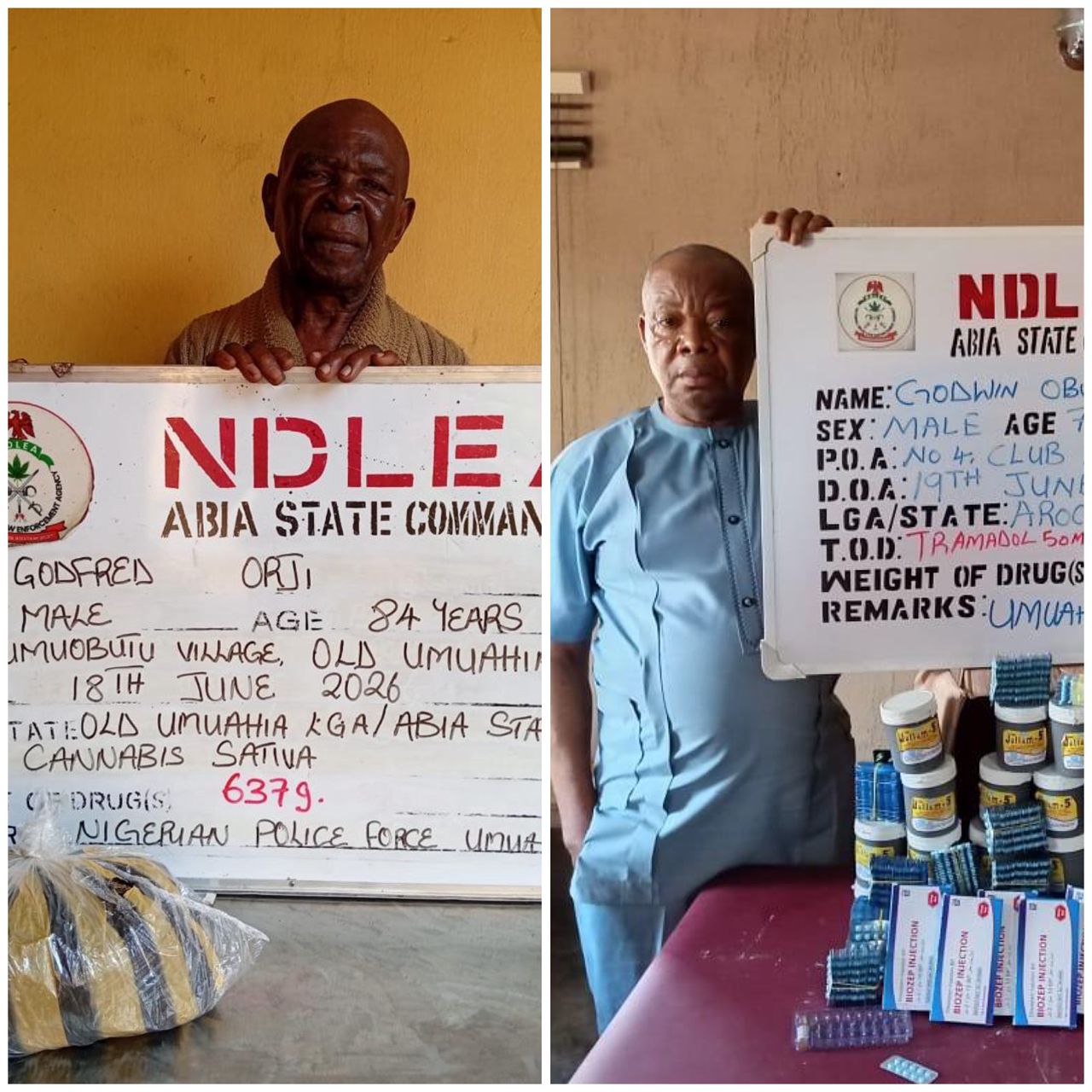 ndlea