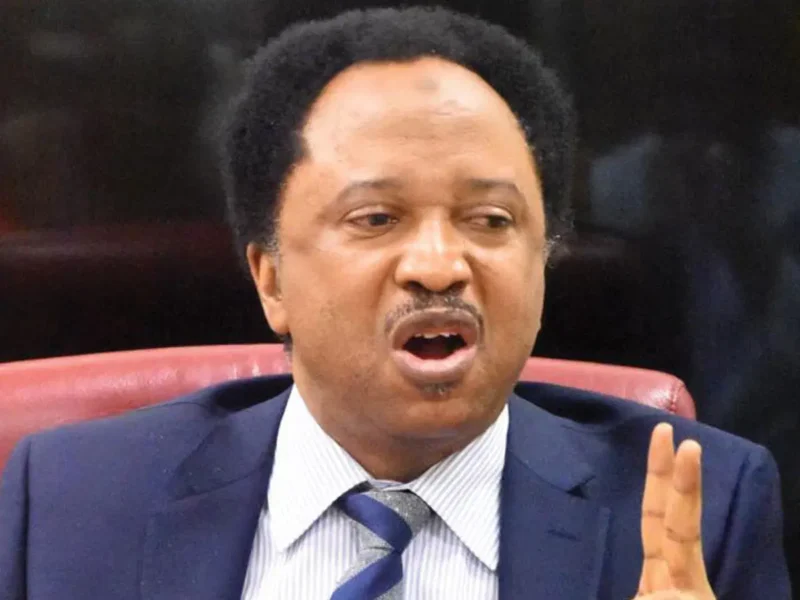 shehu