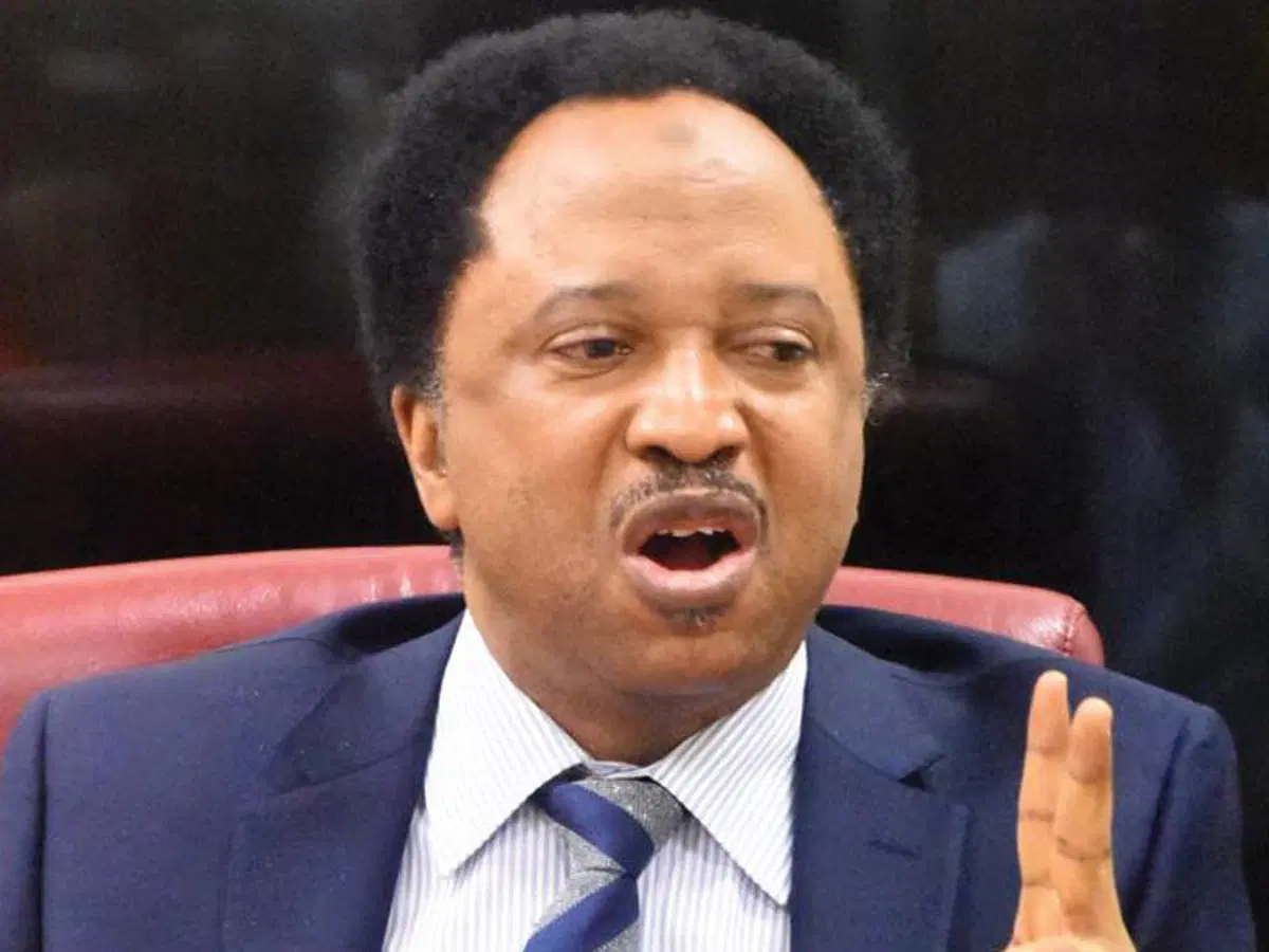 shehu