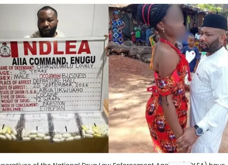 ndlea