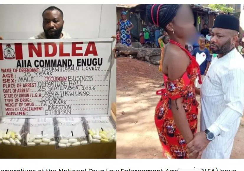 ndlea