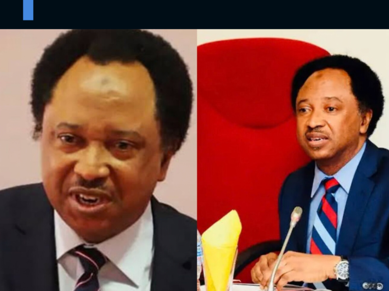 shehu